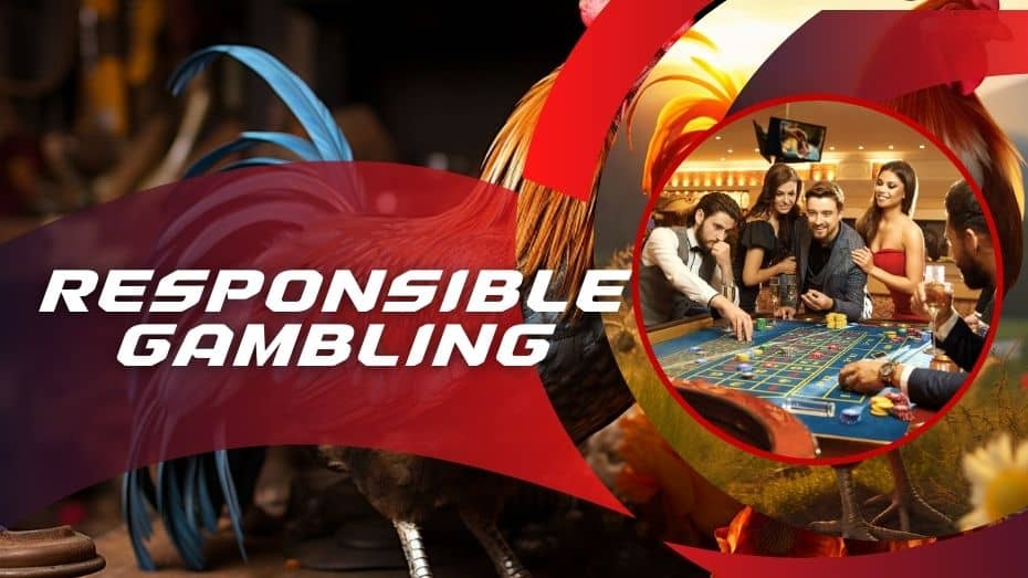 Responsible Gambling