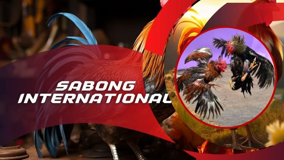 Sabong International review