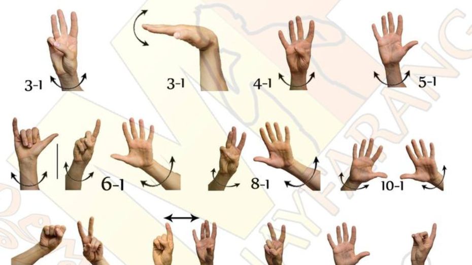 The Significance of Hand Signals in Sabong