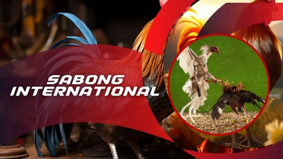 sabong international