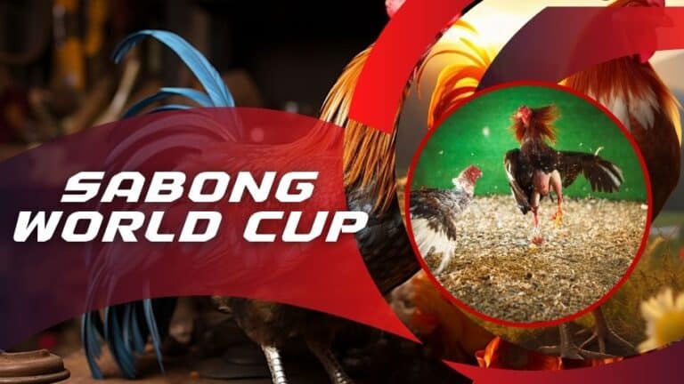 sabong world cup